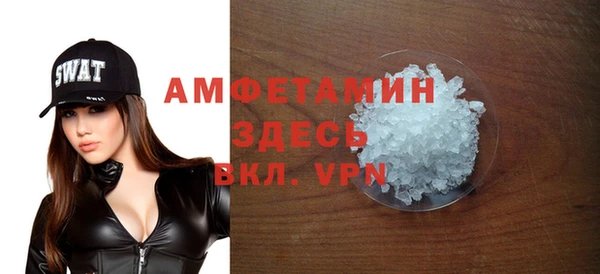скорость Вяземский