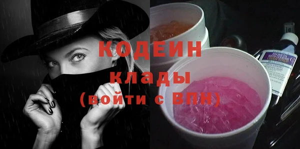 скорость Вяземский