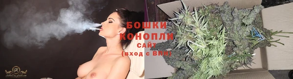 дживик Верея