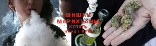 шишки Вязьма