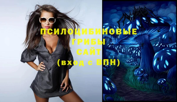 дживик Верея