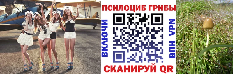 Галлюциногенные грибы прущие грибы  Цоци-Юрт 
